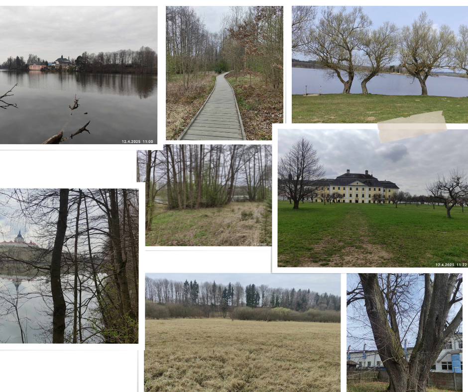 Okolo Zelené hory na Žďársku