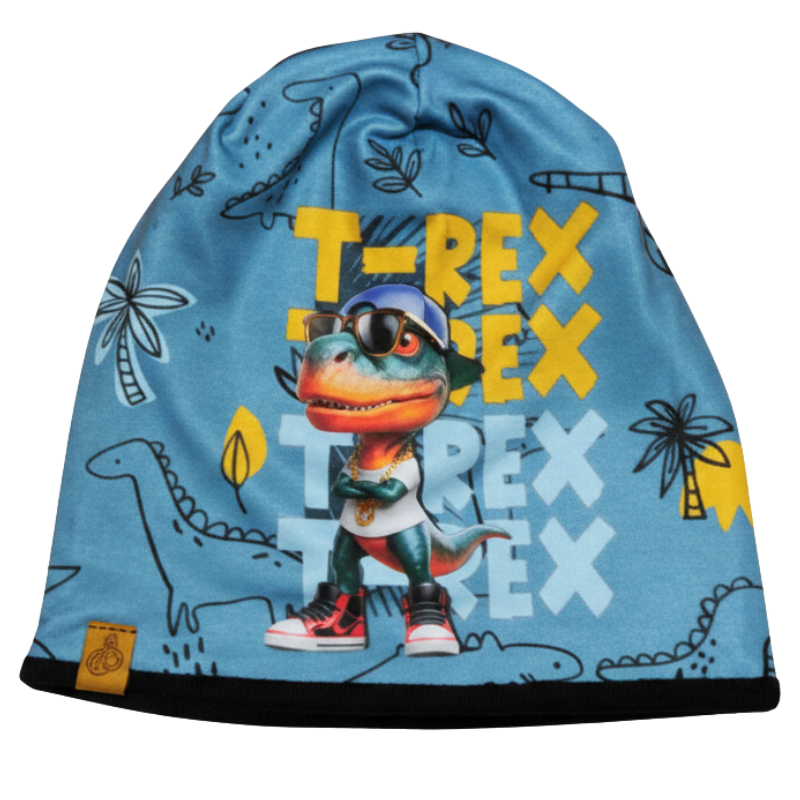 Chlapecká podzimní/jarní čepice modrá T-REX KEV 2024-135