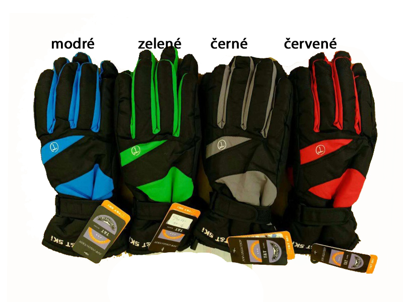 Delfin Pánské zimní lyžařské prstové rukavice