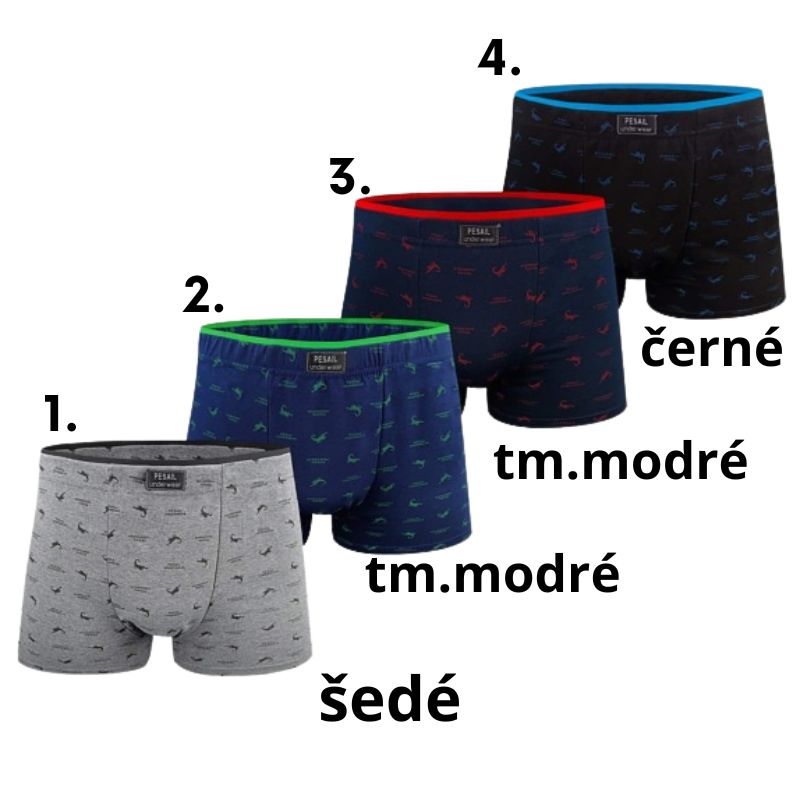 Pánské trenkoslipy Pesail T0277