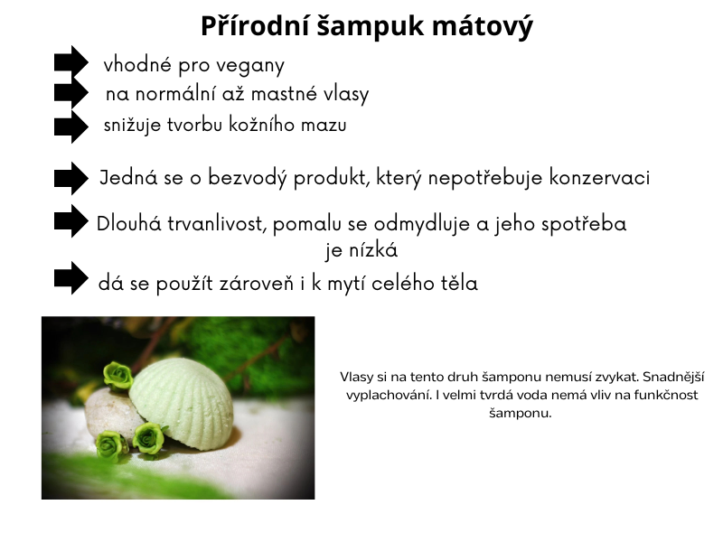 Přírodní šampuk mátový s kondicionérem na mastné vlasy 80g
