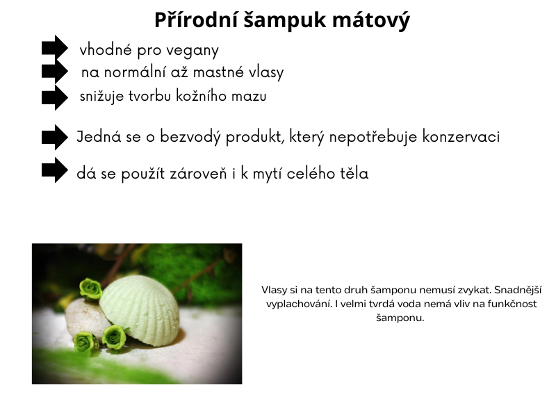 Přírodní šampuk mátový s kondicionérem na mastné vlasy 20g