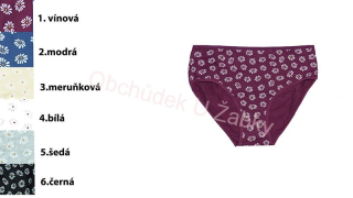 Pesail YW4124 Dámské bavlněné spodní kalhotky kopretiny