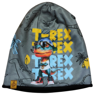 Chlapecká podzimní/jarní čepice  tm.šedá T-REX KEV 2024-135