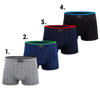 Pánské trenkoslipy Pesail T0277