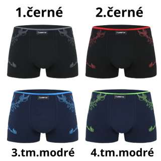 Pánské trenkoslipy Fannifen G5187