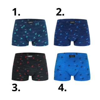 Pánské trenkoslipy Fannifen M6768