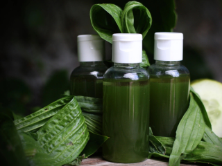 Okurka a jitrocel, tonikum 115 ml