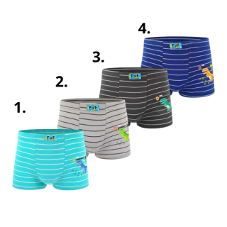 Chlapecké trenkoslipy Fannifen XQ2674