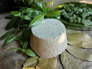 Přírodní šampuk Laurus nobilis, vavřín