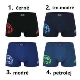 Pánské trenkoslipy Fannifen M6787