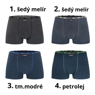 Pánské trenkoslipy Fannifen G5182