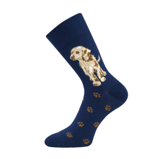 Voxx Foxana Ponožky pes modré