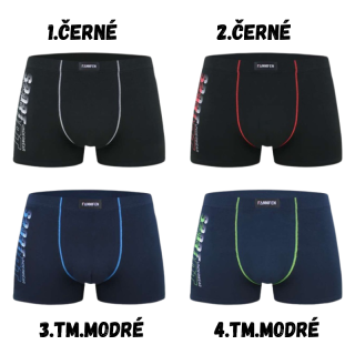 Pánské trenkoslipy Fannifen M6754