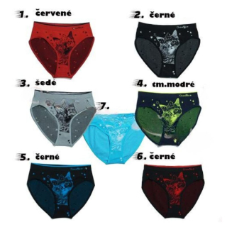 Dámské bezešvé kalhotky Greenice 3944