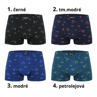 Pánské trenkoslipy Fannifen M6762